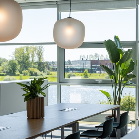 Heller Meetingraum mit grossen Fensterfronten, natürlicher Begrünung und moderner Arbeitsplatzgestaltung im New-Work Büro in Kopenhagen